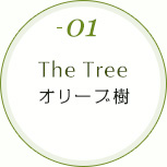 01 オリーブ樹