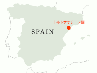 スペイン トルトサオリーブ園