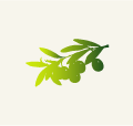 olive_garden_logo_658-113